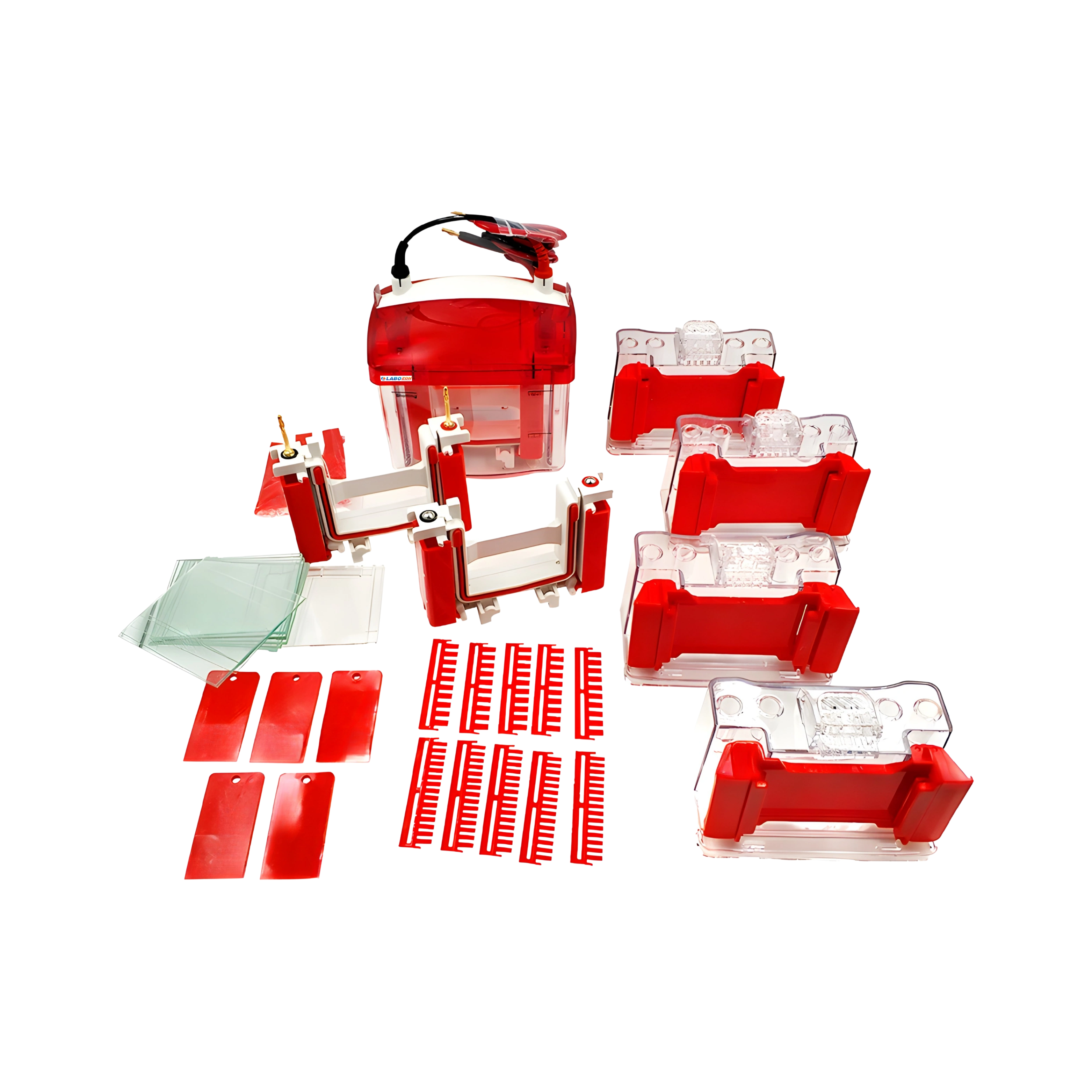 Electrophoresis